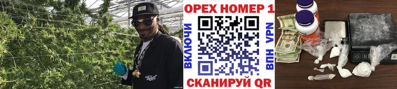 блэк спрут как зайти  где купить наркоту  Михайлов  мориарти Telegram  Кокаин Перу 