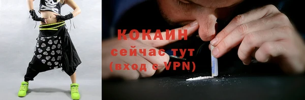 соль ск Дегтярск