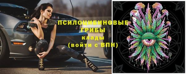 дживик Кукмор