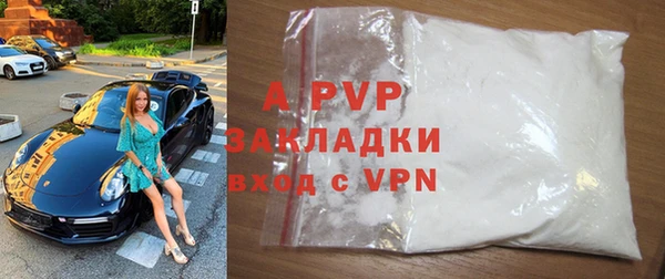 прущие грибы Данков