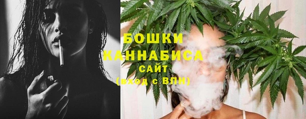 стафф Кулебаки