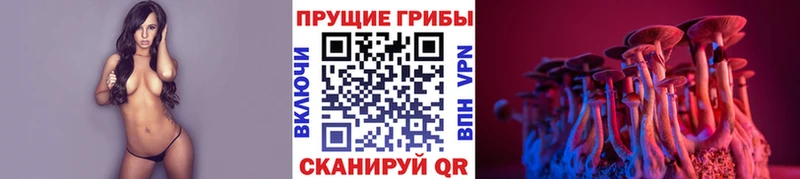 Галлюциногенные грибы прущие грибы  Михайлов 