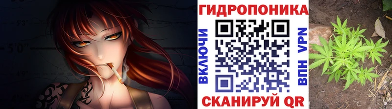 Шишки марихуана MAZAR дарнет шоп hydra как зайти Михайлов